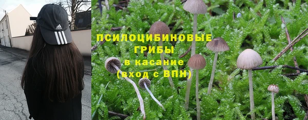 таблы Вяземский