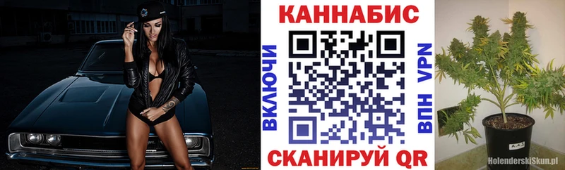 Купить где  Бор  МАРИХУАНА семена 